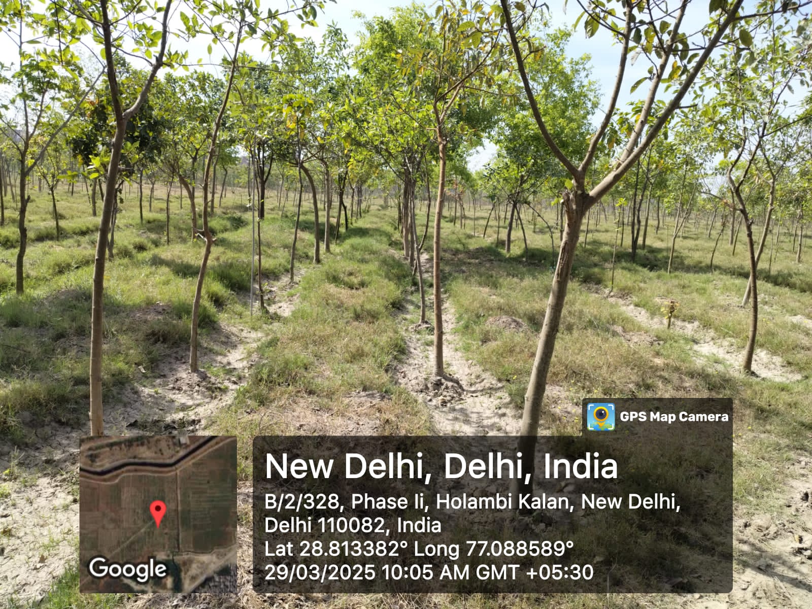 Compensatory Afforestation
